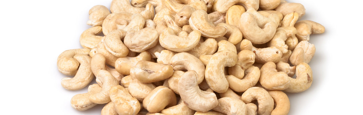 cashew nut dealers